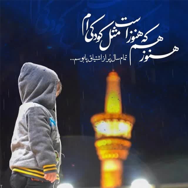 photo 2025 04 29 11 21 51 2 - مجموعه تصاویر جهت پروفایل به مناسبت میلاد امام رضا علیه السلام
