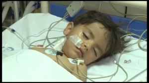 گزارش حادثه تروریستی 4 آبان 1401 حرم حضرت شاهچراغ (ع)