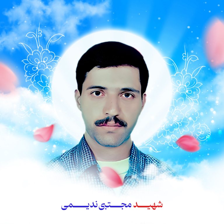 زندگی نامه شهید مجتبی ندیمی
