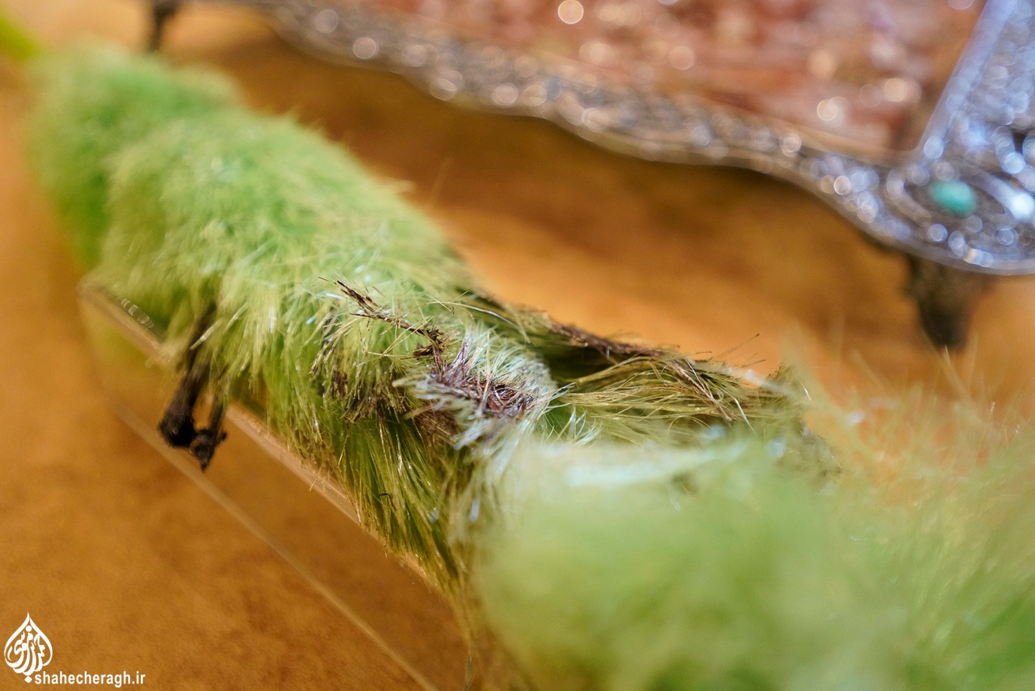 ویترین آثار به جا مانده از حمله تروریستی به حرم مطهر حضرت احمدبن موسی(ع) در موزه آستان مقدس pic2009021 2 7 11zon - ویترین آثار به جا مانده از حمله تروریستی به حرم مطهر حضرت احمدبن موسی(ع) در موزه آستان مقدس