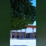 استوری / خیلی دلم برات تنگ شده