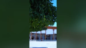 استوری / خیلی دلم برات تنگ شده