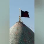 این خانه عزادار مادر است