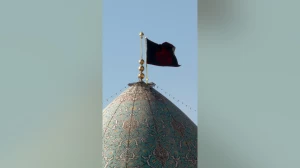 66876045 9118 l  7345 - صفحه اصلی