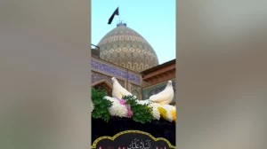 مراسم عزاداری و لاله‌گردانی شام غریبان حضرت فاطمه زهرا(س) در حرم مطهر شاهچراغ(ع)