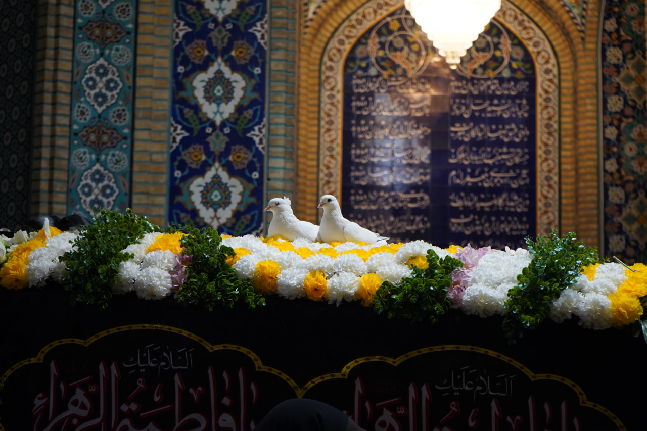 photo 2025 11 24 20 24 09 2 - آیین لاله گردانی و عزاداری شام شهادت حضرت فاطمه سلام الله علیها در حرم مطهر حضرت شاهچراغ علیه السلام