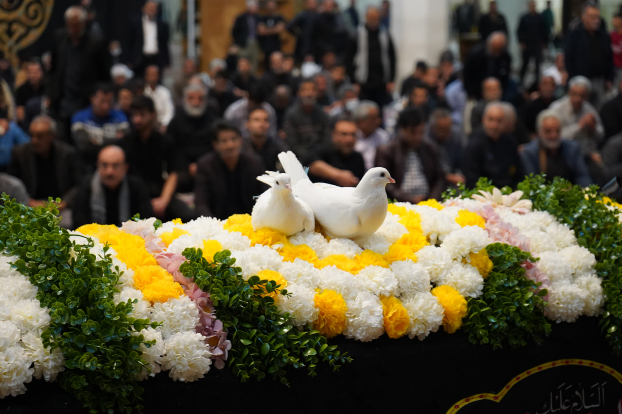 photo 2025 11 24 20 24 20 - آیین لاله گردانی و عزاداری شام شهادت حضرت فاطمه سلام الله علیها در حرم مطهر حضرت شاهچراغ علیه السلام